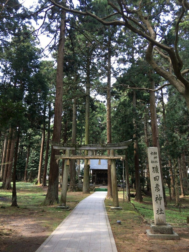 劔神社 末社・猿田彦神社の石鳥居と杉木立の参道