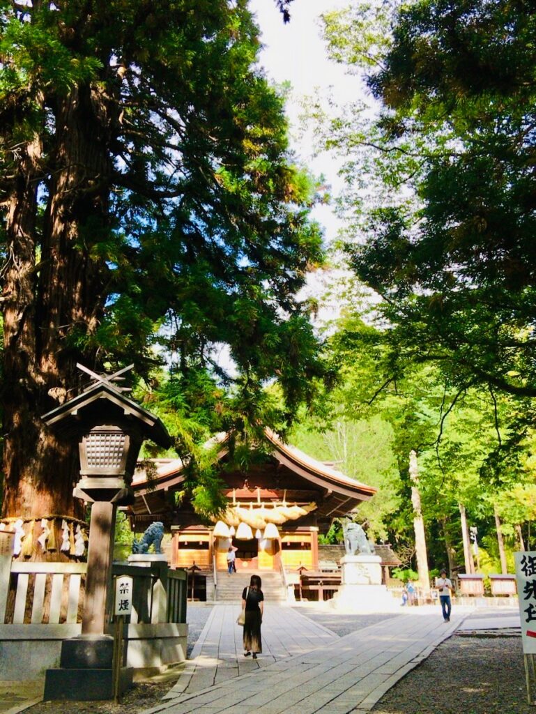 諏訪大社下社秋宮の参道と大しめ縄の神楽殿
