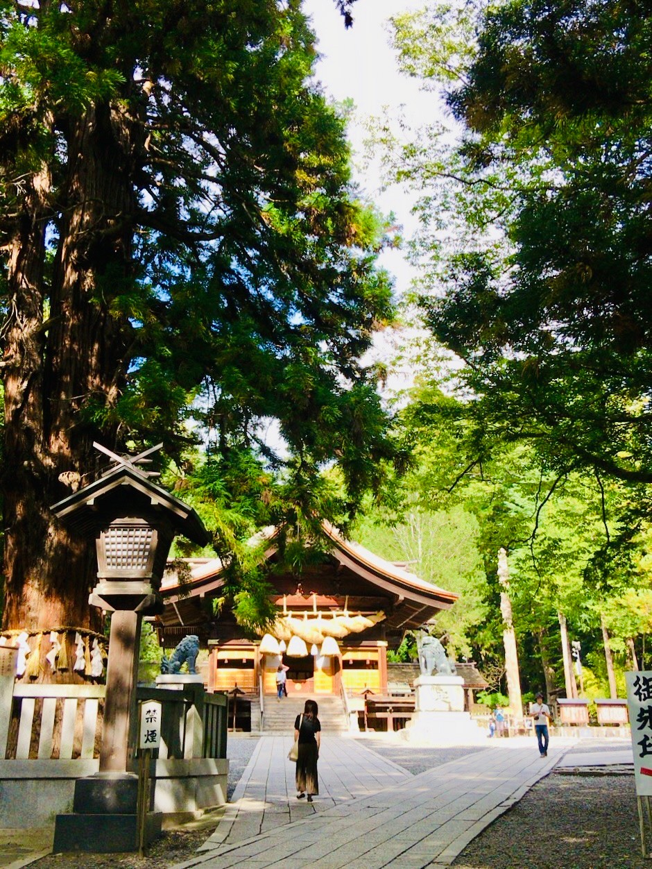 諏訪大社下社秋宮の参道と大しめ縄の神楽殿
