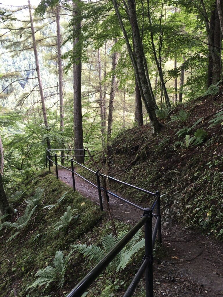分杭峠の氣場へ続く森の遊歩道
