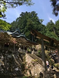 玉置神社の拝殿とシャクナゲ